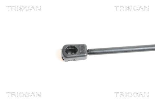 Vérin (Vérin de hayon) Triscan A/S 8710 15104