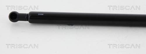 Vérin (Vérin de hayon) Triscan A/S 8710 15106