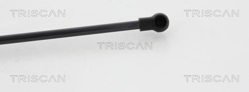 Vérin (Vérin de hayon) Triscan A/S 8710 15106