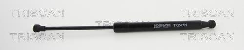 Cilindro Triscan A/S 8710 15107