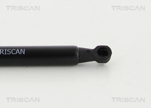 Cilindro Triscan A/S 8710 15107