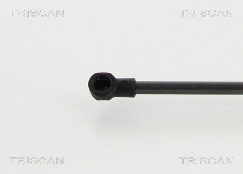 Cilindro Triscan A/S 8710 15107