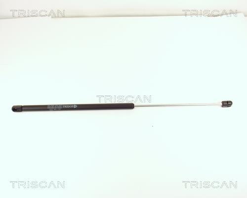 Vérin (Vérin de hayon) Triscan A/S 8710 15202
