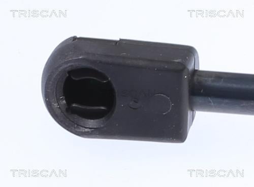 Vérin (Vérin de hayon) Triscan A/S 8710 15204