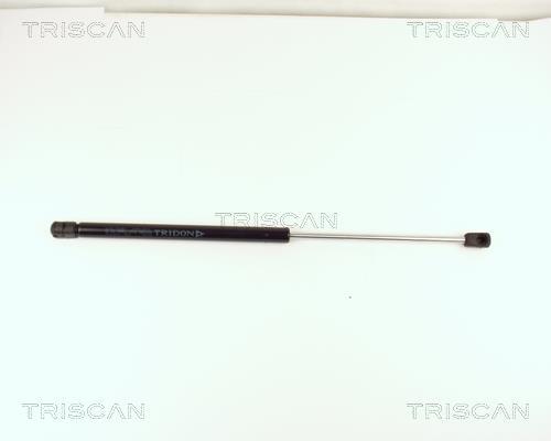 Vérin (Vérin de hayon) Triscan A/S 8710 15212