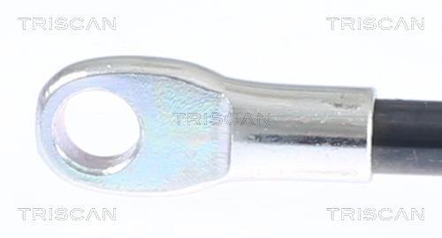 Muelle neumático Triscan A/S ref. 8710 15216