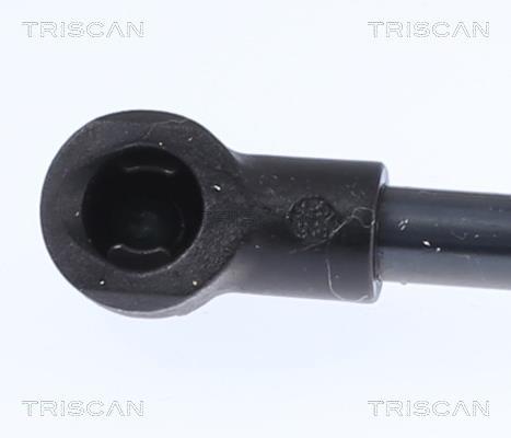 Vérin (Vérin de hayon) Triscan A/S 8710 15217