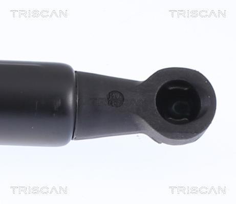 Vérin (Vérin de hayon) Triscan A/S 8710 15217