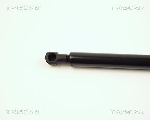 Cilindro Triscan A/S 8710 15221