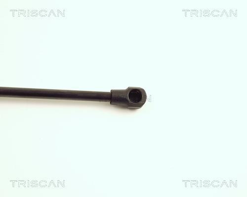 Cilindro Triscan A/S 8710 15221