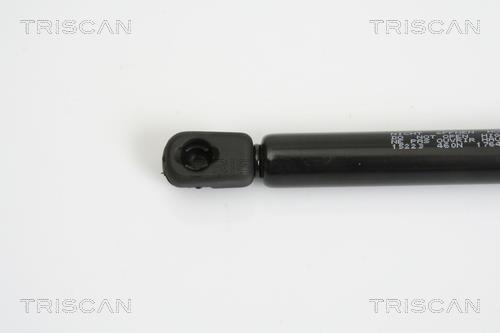 Vérin (Vérin de hayon) Triscan A/S 8710 15223