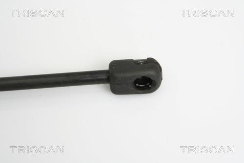 Vérin (Vérin de hayon) Triscan A/S 8710 15223