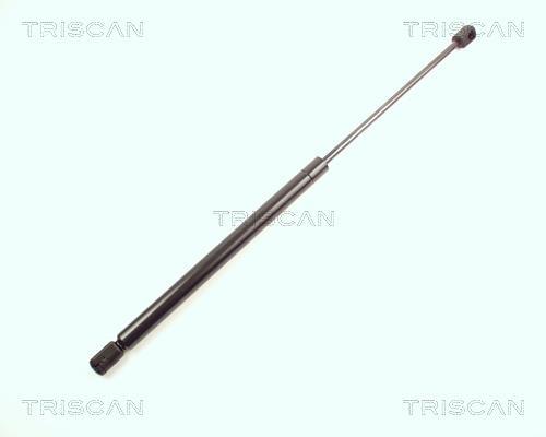 Vérin (Vérin de hayon) Triscan A/S 8710 15225