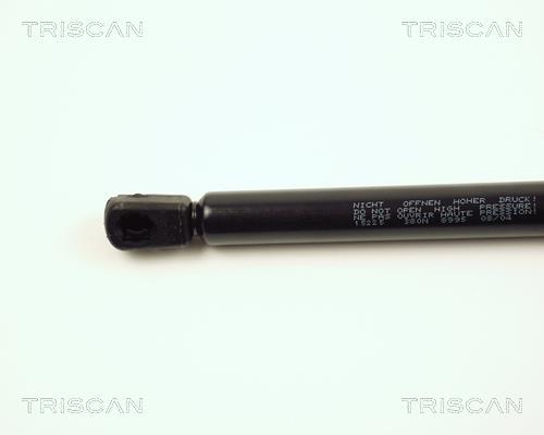 Vérin (Vérin de hayon) Triscan A/S 8710 15225