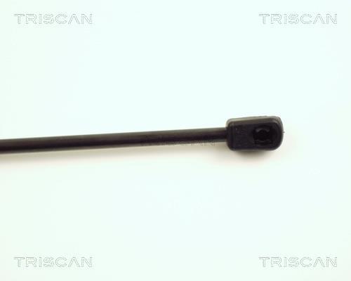 Vérin (Vérin de hayon) Triscan A/S 8710 15225