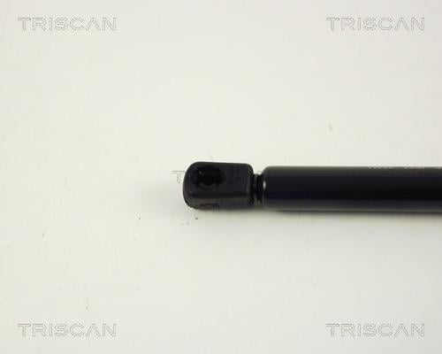 Vérin (Vérin de hayon) Triscan A/S ref. 8710 15226