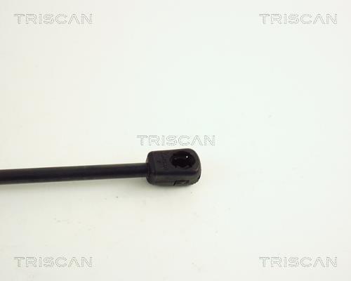 Vérin (Vérin de hayon) Triscan A/S ref. 8710 15226