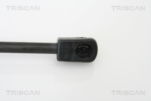 Vérin (Vérin de hayon) Triscan A/S ref. 8710 15227