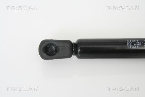 Vérin (Vérin de hayon) Triscan A/S 8710 15228