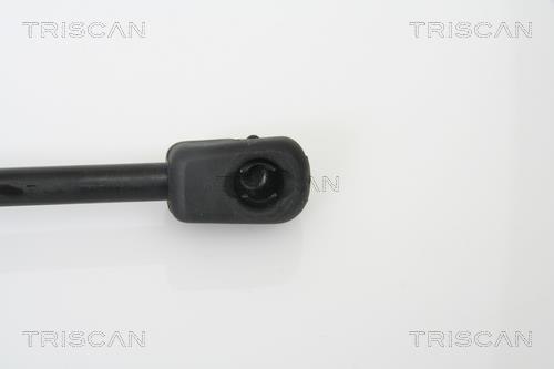 Vérin (Vérin de hayon) Triscan A/S 8710 15228
