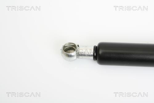 Muelle neumático Triscan A/S 8710 15230