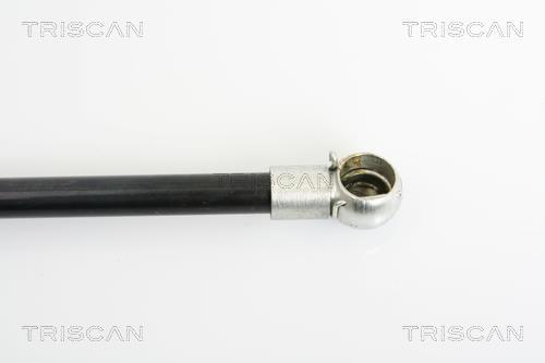 Muelle neumático Triscan A/S 8710 15230