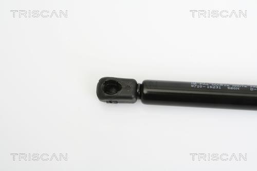 Vérin (Vérin de hayon) Triscan A/S 8710 15231