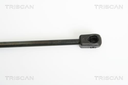 Vérin (Vérin de hayon) Triscan A/S 8710 15231