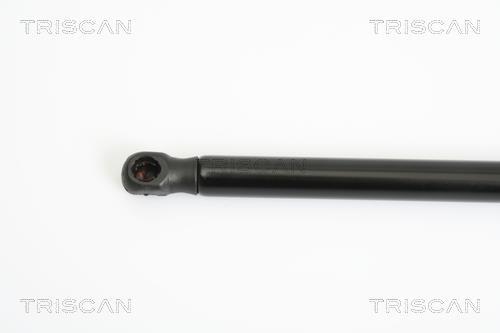 Vérin (Vérin de hayon) Triscan A/S ref. 8710 15232