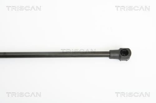 Vérin (Vérin de hayon) Triscan A/S ref. 8710 15232