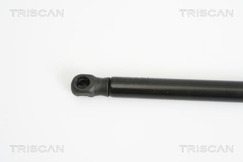 Vérin (Vérin de hayon) Triscan A/S 8710 15233