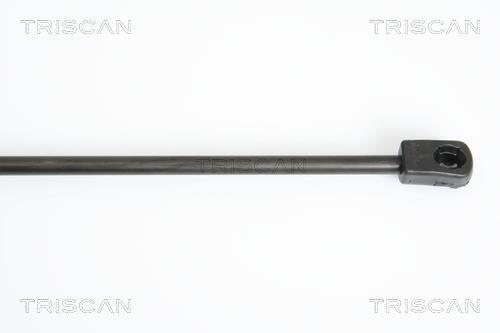 Vérin (Vérin de hayon) Triscan A/S 8710 15233