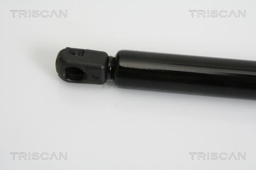 Vérin (Vérin de hayon) Triscan A/S 8710 15234