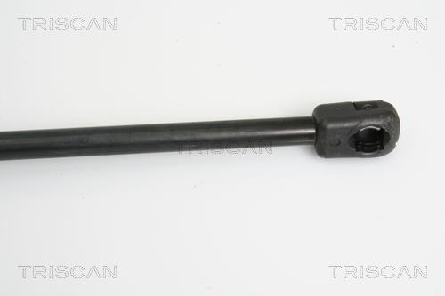 Vérin (Vérin de hayon) Triscan A/S 8710 15234