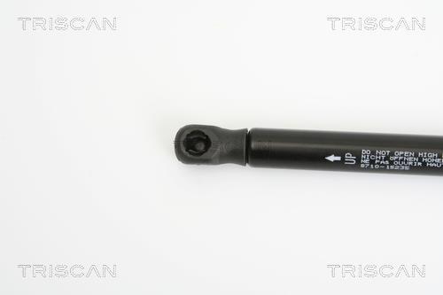Vérin (Vérin de hayon) Triscan A/S ref. 8710 15235