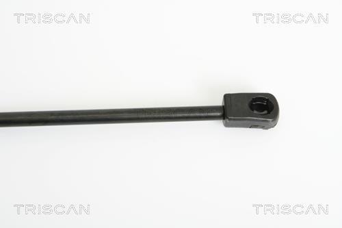 Vérin (Vérin de hayon) Triscan A/S ref. 8710 15235