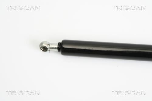 Vérin (Vérin de hayon) Triscan A/S 8710 15236