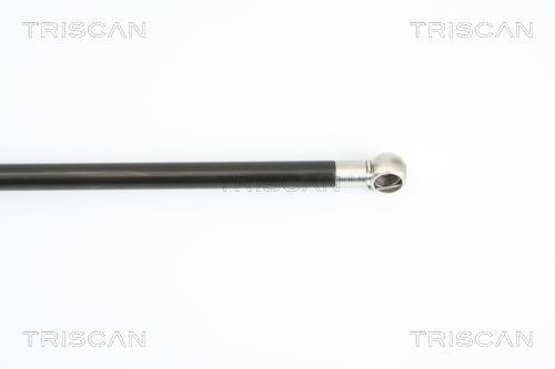 Vérin (Vérin de hayon) Triscan A/S 8710 15236