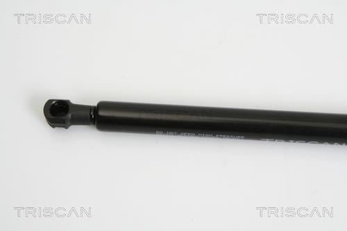 Cilindro Triscan A/S ref. 8710 15237