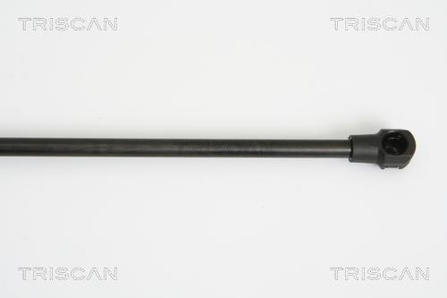 Cilindro Triscan A/S ref. 8710 15237
