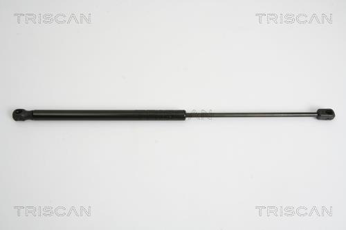 Vérin (Vérin de hayon) Triscan A/S 8710 15238