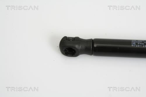 Vérin (Vérin de hayon) Triscan A/S 8710 15238