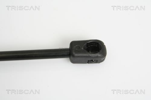 Vérin (Vérin de hayon) Triscan A/S 8710 15238