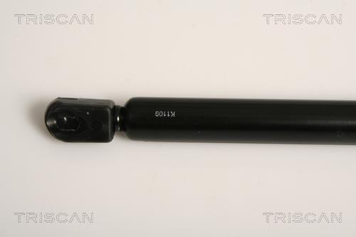 Vérin (Vérin de hayon) Triscan A/S ref. 8710 15240