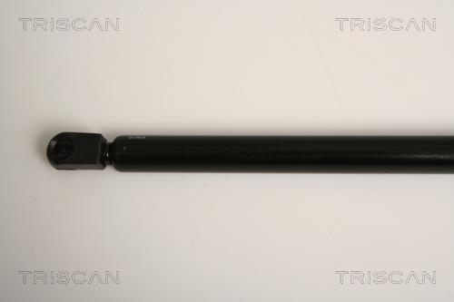 Vérin (Vérin de hayon) Triscan A/S 8710 15242