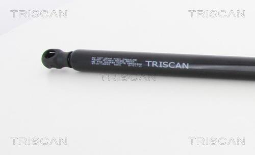 Vérin (Vérin de hayon) Triscan A/S 8710 15243