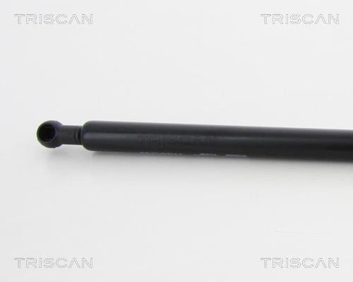 Vérin (Vérin de hayon) Triscan A/S 8710 15245