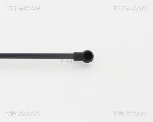 Vérin (Vérin de hayon) Triscan A/S 8710 15245