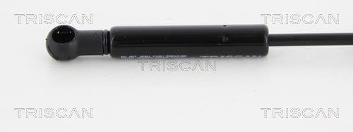 Vérin (Vérin de hayon) Triscan A/S 8710 15246