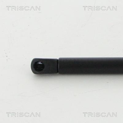 Vérin (Vérin de hayon) Triscan A/S 8710 15254